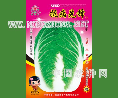 抗病先锋